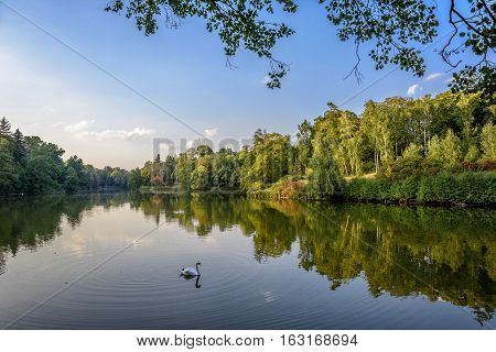 Lake in the autumn park. Autumn landscape.
