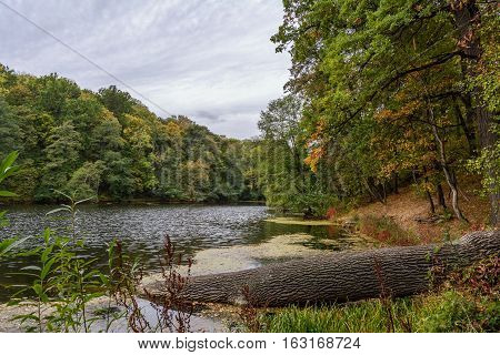 Lake in the autumn park. Autumn landscape.