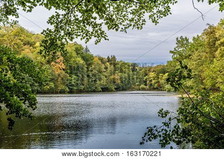 Lake in the autumn park. Autumn landscape.