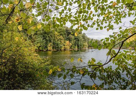 Lake in the autumn park. Autumn landscape.
