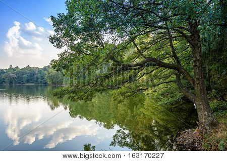 Lake in the autumn park. Autumn landscape.