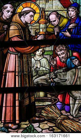 Stained Glass - Saint Anthony Of Padua