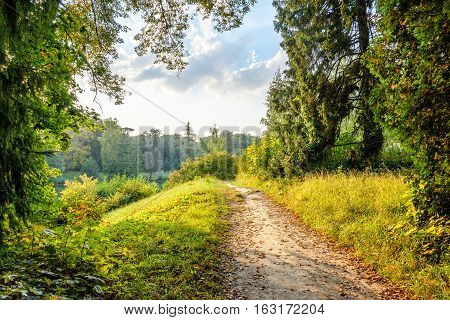 The path in the autumn garden, strewn with fallen leaves.