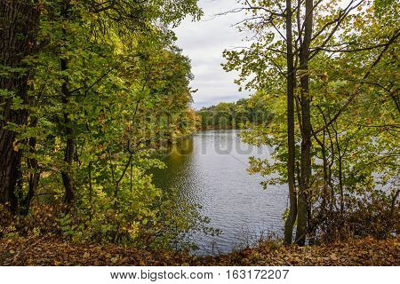 Lake in the autumn park. Autumn landscape.