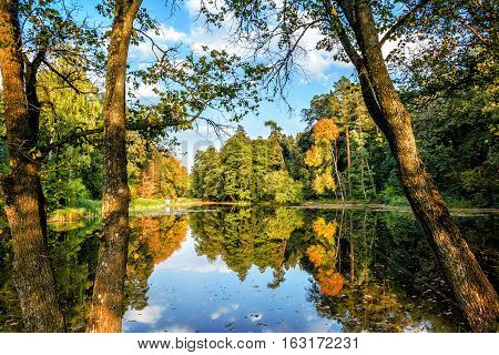 Lake in the autumn park. Autumn landscape.