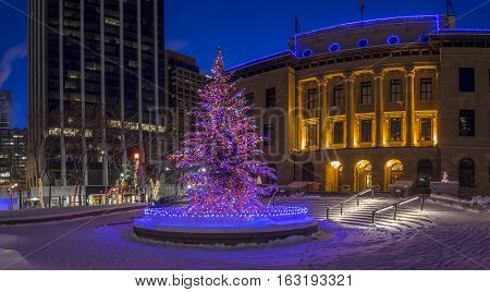 An urban park in Calgary at night all decorated for Christmas with beautiful Christmas lights.