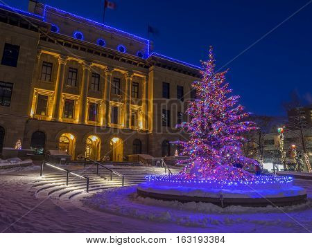 An urban park in Calgary at night all decorated for Christmas with beautiful Christmas lights.