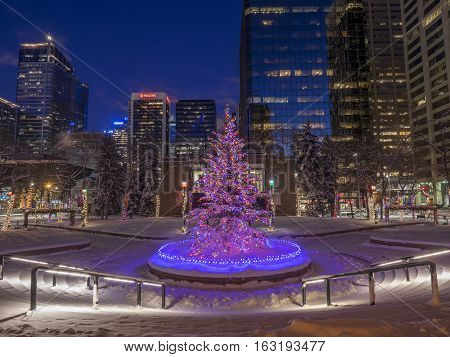 An urban park in Calgary at night all decorated for Christmas with beautiful Christmas lights.