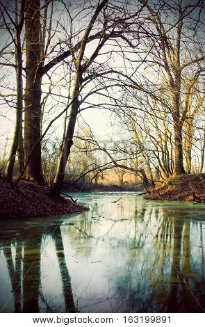 Forest with pond or oxbow in autumn landscape