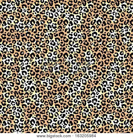 Seamless animal african natural leopard pattern. Vector.