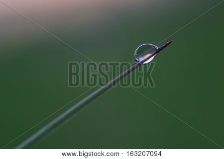 Green leaf with drops of water with reflection