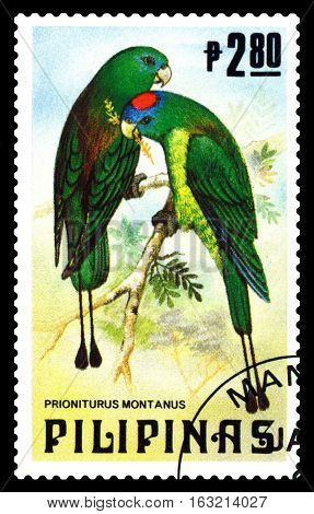 STAVROPOL RUSSIA - December 11 2016: A stamp printed by Philipines shows bird an Mountain acetoclastic parrot (Prioniturus Montanus) circa 1984