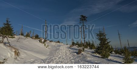 Sunrise In Jeseniky Mountains In Christmas Time Near Kralicky Sneznik Hill