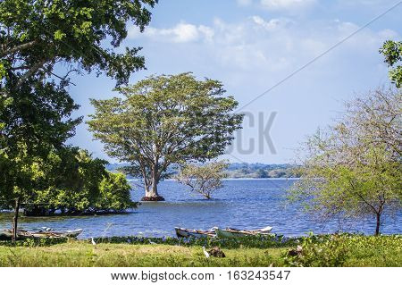 Thabbowa sanctuary in Puttalam, Sri Lanka nature reserve