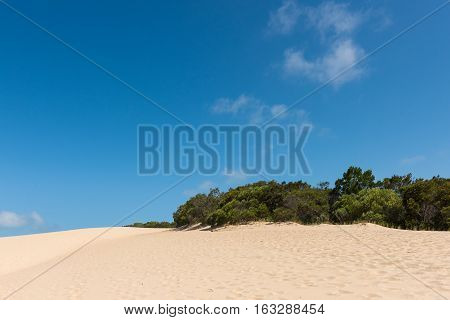 Fraser Island desert sand dune landscape in Queensland, Australia