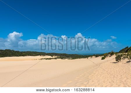 Fraser Island desert sand dune landscape in Queensland Australia