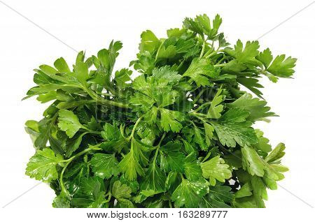 Bunch of parsley on a white background.