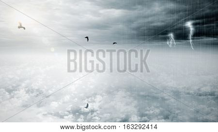 Bird flying on fantasy opposite weather sky beautiful sun and ominous stormy sky clouds infinity conception for composite