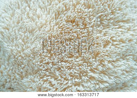 knitted textile fleece fluffy texture or background