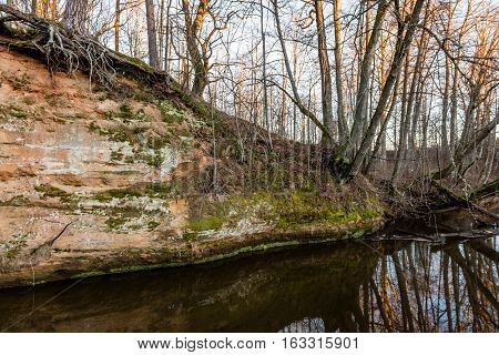 Sandstone Cliffs In Latvia