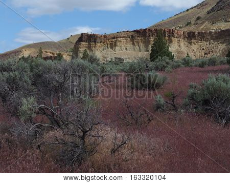 Wild grasses sagebrush layered mountains with lots of colors and a blue sky on a sunny spring day in the John Day Fossil Beds in Eastern Oregon.