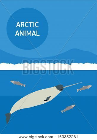 Sea unicorn floating in the sea. Vector drawing of a series of Arctic animals. Flat style illustration