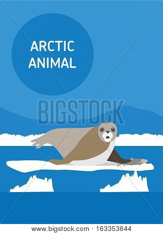 The seal lies on an ice floe. Vector drawing of a series of Arctic animals. Flat style illustration