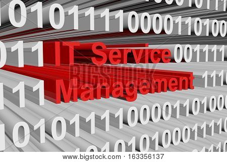 it service management is presented in the form of binary code 3d illustration