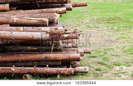 A pile of logs closeup with copyspace on the right