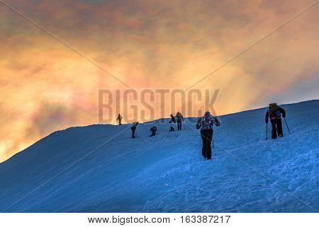 Winter hill climbing to Goverla Mount. Tourists are moving along mount range. Orange cloudy sky in background.