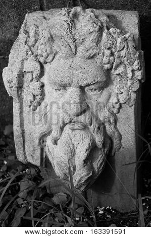 A cement stone green mans face in the leaves spirit of the woods. b/w