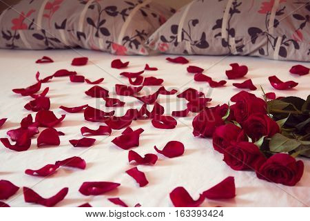 bouquet from red roses and his scattered petals on a bed with white sheet and two pillows