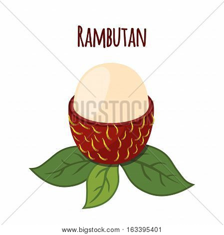 Rambutan tropical fruit. Exotic vitamin nutrition. Juicy ripe fruit in flat vector style. Natural organic rambutan.