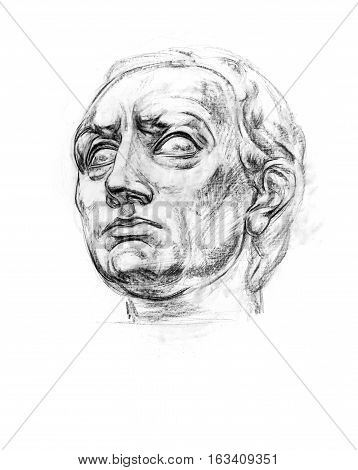 Gattamelata. Academic drawing antique gypsum head. Hand-drawing in pencil