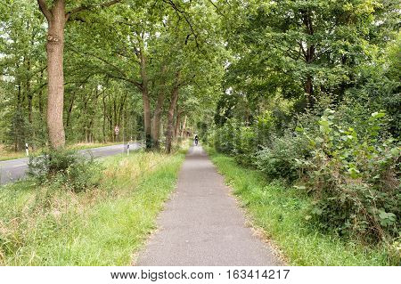 Ciclist In Green Trees Alley