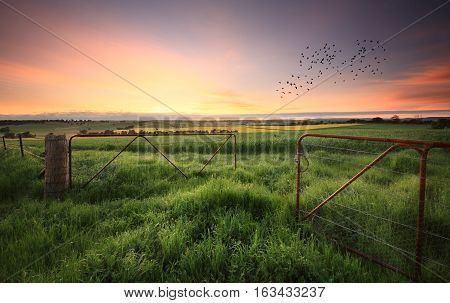 Rusty Gates Open To Wheat And Canola Crops