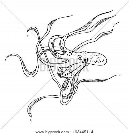 Giant octopus with eight tentacles floating in the ocean depths. Hand drawing. Vector illustration. Isolated on the white background.