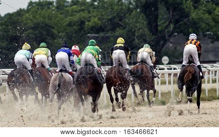 Horse race for the traditional prize Letni in Pyatigorsk,the largest in Russia.