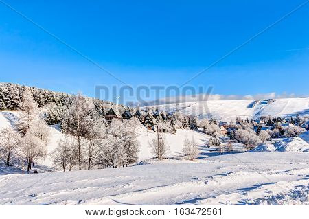 Landscape In Wintertime