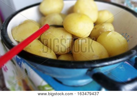 Rural potatoes in a blue vintage colander. Raw potatoe food