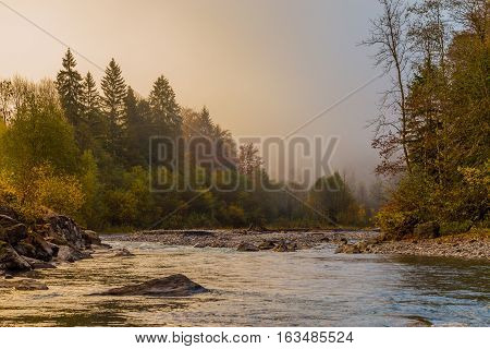 Misty with light coming through and autumn trees
