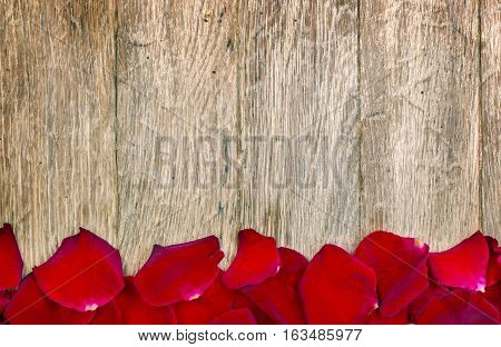 the close upRed petals on wood background