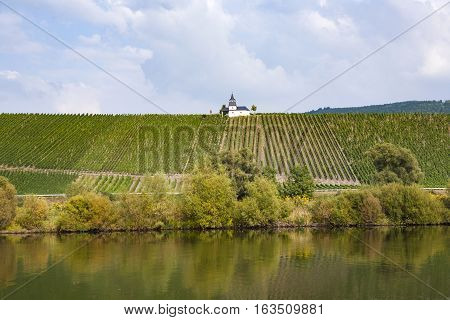 Chapel In Vineyard At River Moselle