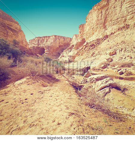 Canyon En Avedat of the Negev Desert in Israel Instagram Effect