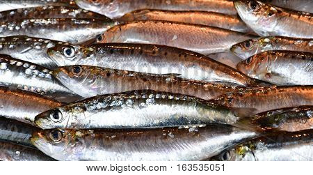 La Flotte France - september 27 2016 : fish shop at market