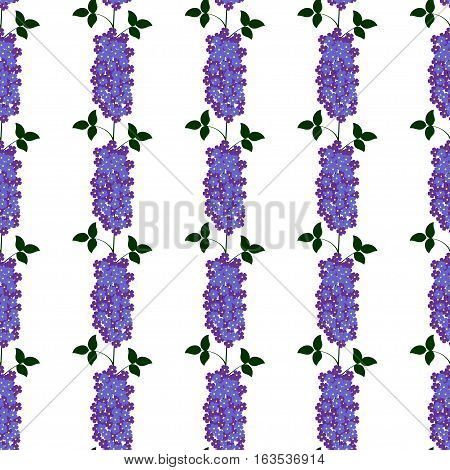 Beautiful floral seamless pattern with lilac flowers on white background