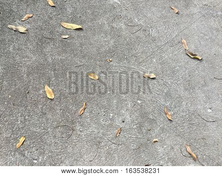 Texture of the background on my home.
