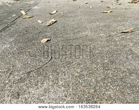 Texture of the background on my home.