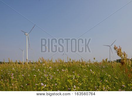 Windturbine At Sunny Day