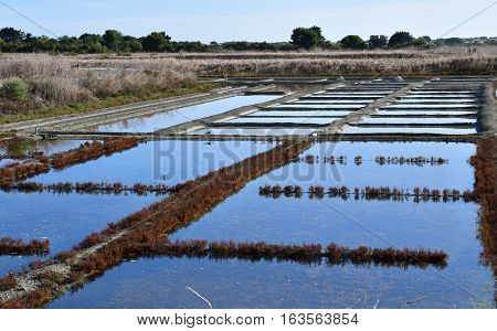 Loix France - september 26 2016 : the picturesque salt evaporation pond